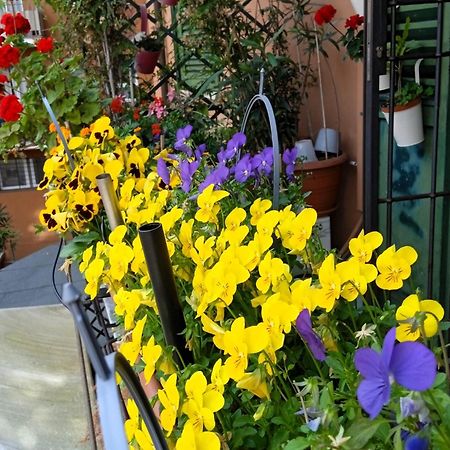 Casa Il Gelsomino Διαμέρισμα Μπολόνια Εξωτερικό φωτογραφία