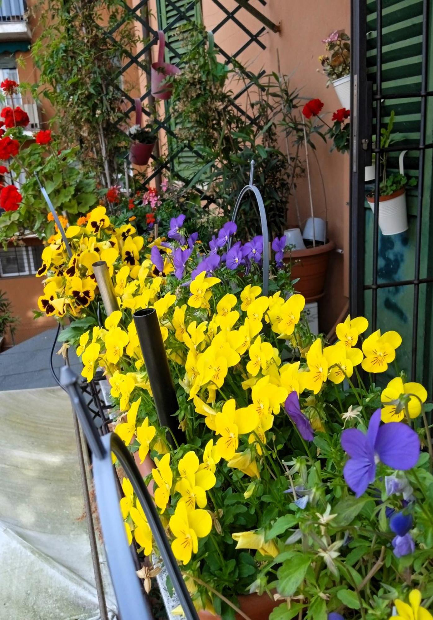 Casa Il Gelsomino Διαμέρισμα Μπολόνια Εξωτερικό φωτογραφία