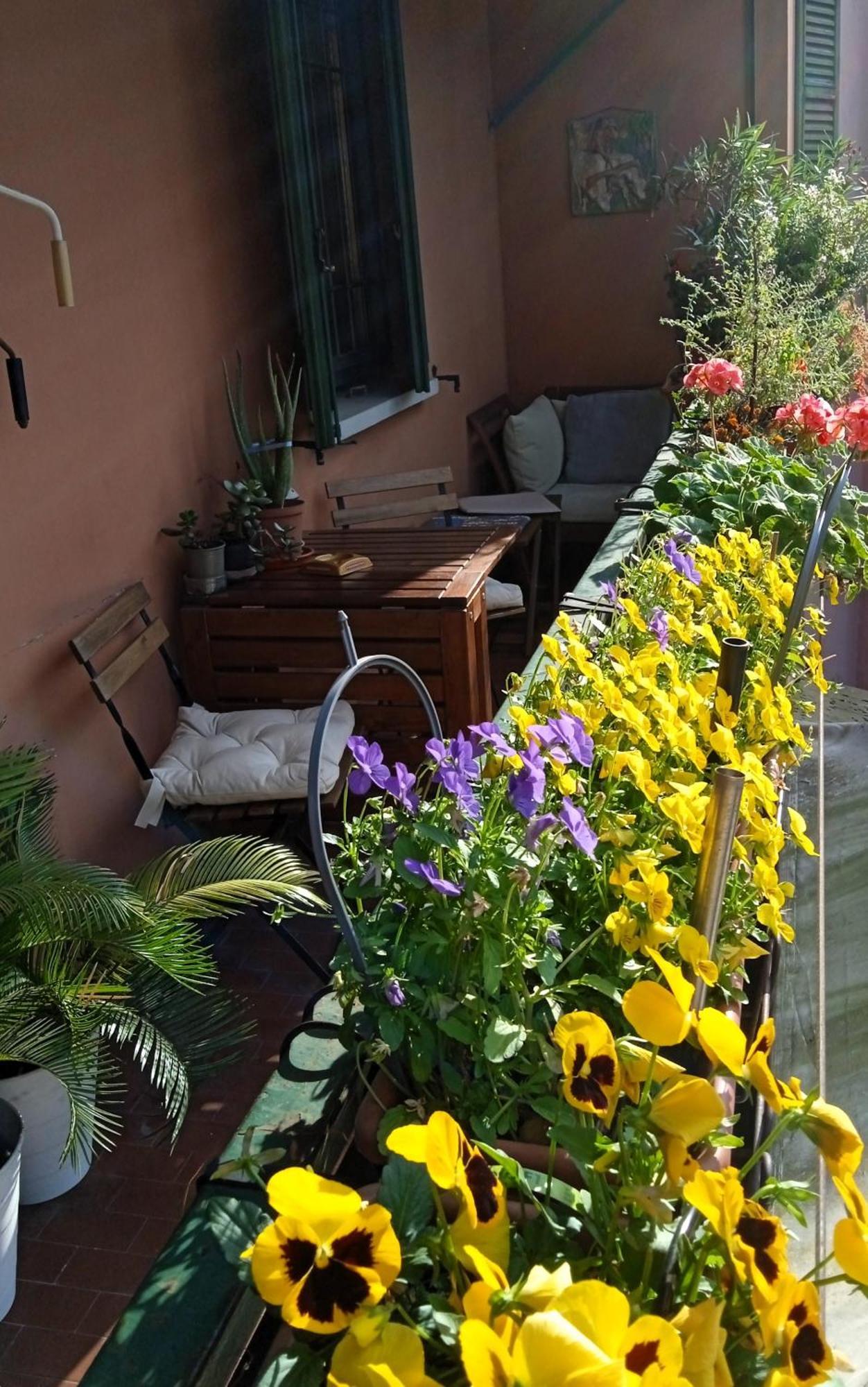 Casa Il Gelsomino Διαμέρισμα Μπολόνια Εξωτερικό φωτογραφία